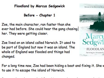 Floodland Marcus Sedgewick EAL/SEN chapter summaries - very simple
