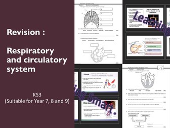 KS3_Secondary 1 checkpoint_Respiratory and circulatory system [Complete sets]