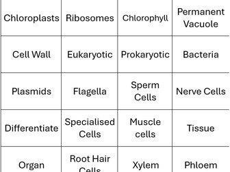 GCSE Science Revision Game Keywords and knowledge - great for SEND