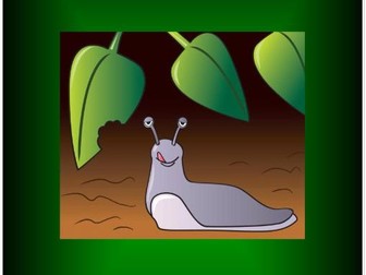 'I am a slug!' A Mini Beast Song
