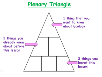 An Ecology Plenary Triangle