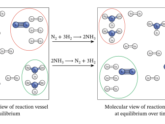 Dynamic Equilibrium Exercise