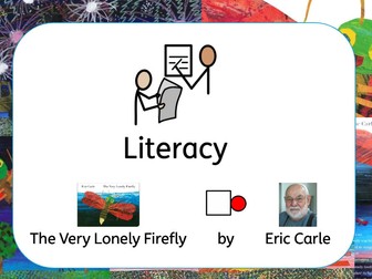 6  PMLD Literacy Lessons - Night and Day