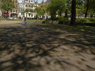 Trees, Plants & Nature of Amsterdam city  in photos - free urban picture resource
