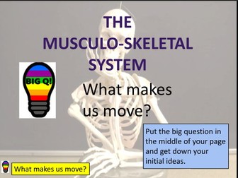 AQA GCSE PE Musculoskeletal System FULL CHAPTER