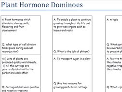 Plant Hormone Dominoes (with answers)