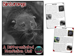 Differentiated Nonfiction Unit: Binturongs