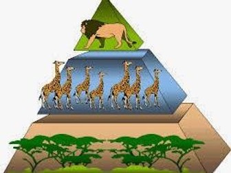 Biomass and Energy Transfer [NEW SPEC AQA] 2020/2021