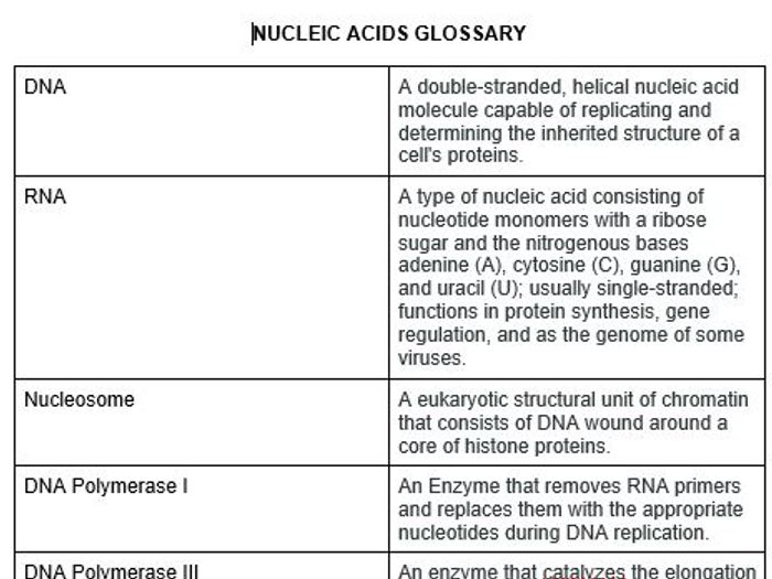 IB Biology Glossary Bundle SL + HL | Teaching Resources