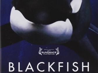 Blackfish Transactional Writing Purpose Report