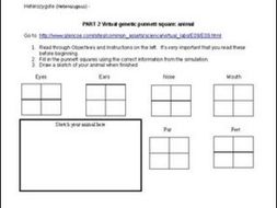Punnett Square webquest practice, a good reinforcement or review.
