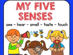 5 senses workbook activities by makutono teaching resources tes