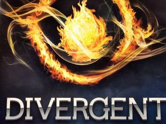 Contextual/comprehension extract and questions based on the novel: Divergent by Veronica Roth.