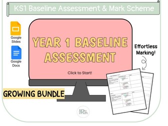 Year 1 Baseline Assessment