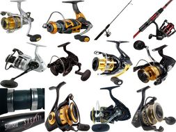 Best Spinning Rods 2021 Best Spinning Rods to buy in 2021 | Teaching Resources