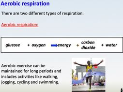 GCSE PE: Applied Anatomy and Physiology, Anaerobic and Aerobic Exercise