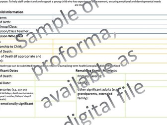 Pupil Bereavement Passport - KS3