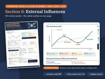 IGCSE Business Section 6 Revision Poster