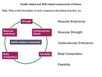Year 10 Components of fitness booklet