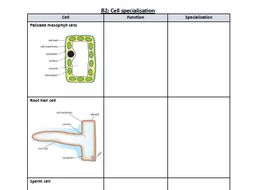 BTEC Applied Science Level 3 (2016) - Unit 1 Biology Revision Workbook