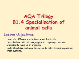 AQA Trilogy B1.4 Specialisation in Animal Cells