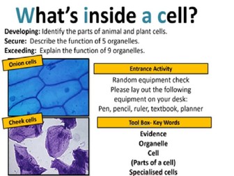 Topic 7A - What's Inside a Cell?