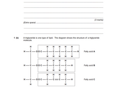 1.3 Lipids (triglycerides, phospholipids) exam questions | A Level Biology AQA