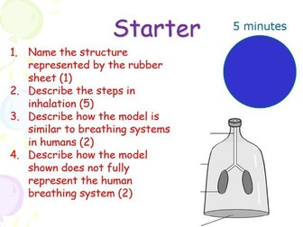 Edexcel iGCSE Biology - Human Gas Exchange Powerpoint