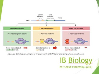 IB Biology 2025 syllabus Topic D2.2