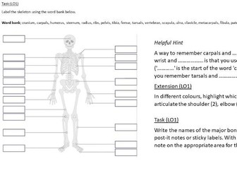 KS3 Introduction to Anatomy & Physiology Booklet