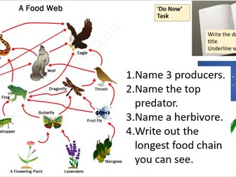 KS3 Science Starter Questions