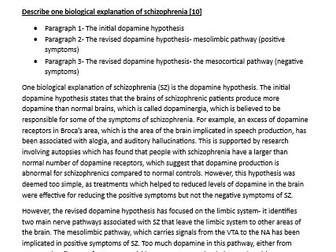 Eduqas A-level psychology essay plans- Schizophrenia
