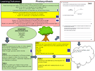 Photosynthesis - learning mat