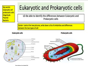 animal cell worksheet v plant mr Tes science Resources AQA Teaching  Cell biology   by