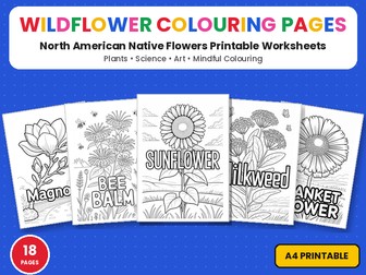 USA Native Flowers Colouring Pages | Printable Colouring Page Worksheets | Wildflowers & Plants