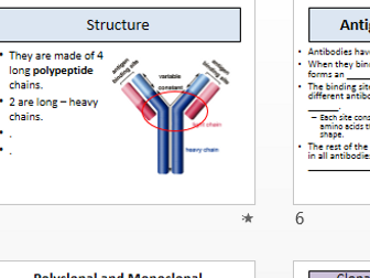 Antibodies powerpoint A level - structure and use of monoclonal antibodies