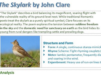 The Skylark by John Clare - Concise 1-Page Detailed Summary