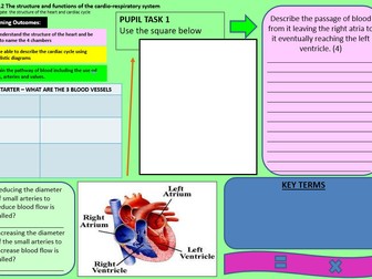 The structure and functions of the cardio-respiratory system learning mat