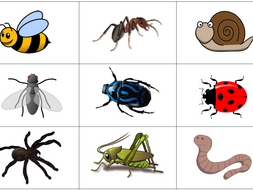 Minibeast Resources Bundle