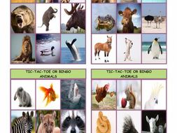 Animals Tic-Tac-Toe or Bingo