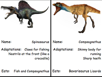 Dinosaur food chains