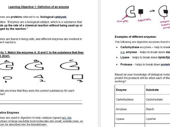 CCEA Double Award Biology Unit 1 (Yr 11) Topic 4 Enzymes and Digestions Notes