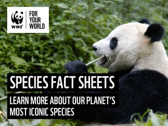 WWF Animal Facts and Information Sheets