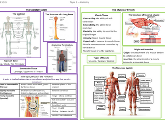 IB SEHS Topic on a page core SL