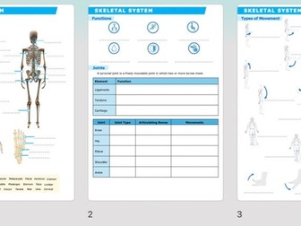 A Level PE - Skeletal System Worksheets and Answers