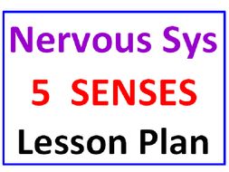 Lesson Plan Introduction to Nervous System and Five Senses