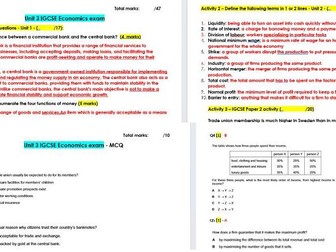 IGCSE Cambridge Economics (0987) Section 3 exam