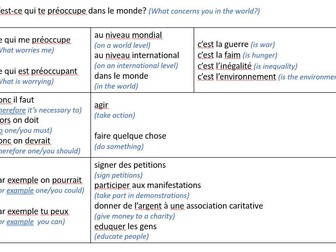 GCSE  French Global issues, environment