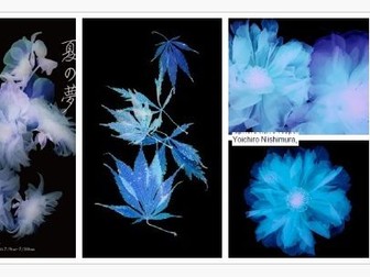 AQA GCSE Photography 2025