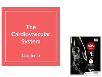 AQA A-Level PE - Cardiovascular System